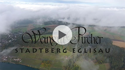 Vorschau Video Weingut